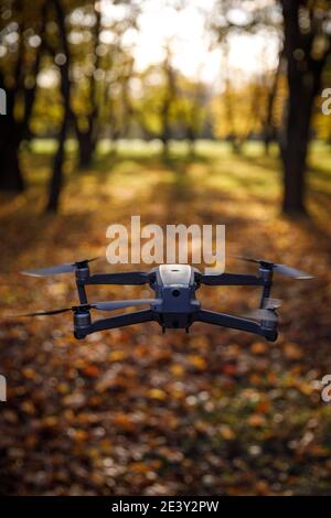 Con un drone in autunno. Volare attraverso il parco Foto Stock