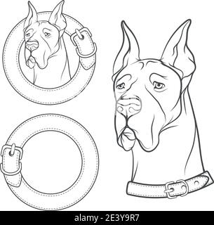 Set di disegno vettoriale del cane nel collare. Oggetti isolati su sfondo bianco. Illustrazione Vettoriale