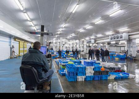 Asta di pesce le Guilvinec (Bretagna, Francia nord-occidentale). Vendita di pesce Foto Stock