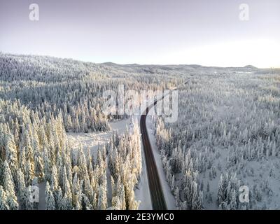 Autostrada con auto che attraversa un passo di montagna con alberi innevati. Foto Stock