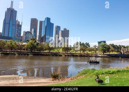 Edifici moderni sulle rive del Fiume Yarra, Melbourne, Victoria, Australia. Foto Stock