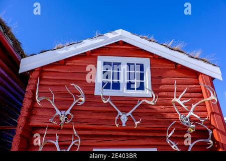 Antlers in un tradizionale edificio agricolo norvegese Foto Stock