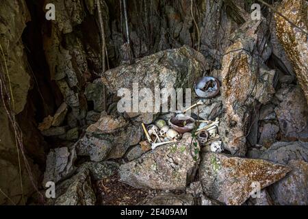 Un cranio umano con orbite cave giace tra ossa e una ciotola di conchiglia erosa in una grotta sull'isola di Pana Wara Wara, provincia di Milne Bay, Papua Nuova Guinea. Foto Stock