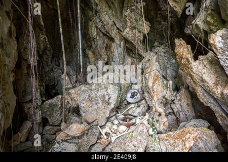 Teschi di cannibali lasciati dietro in una grotta sul isola di Pana Wara Wara in Papua Nuova Guinea Foto Stock