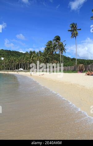 PALAWAN, FILIPPINE - 2 DICEMBRE 2017: La gente gode la più bella spiaggia di Marimegmeg di El Nido nell'isola di Palawan, Filippine. 6 milioni di tou stranieri Foto Stock