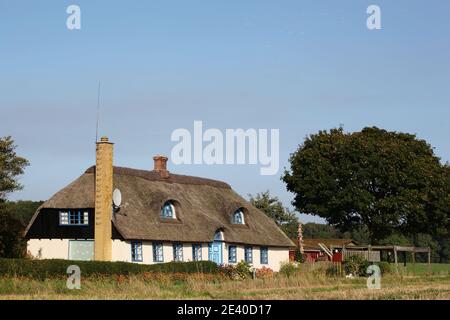 Casa tradizionale in Danimarca con tetto di paglia Foto Stock