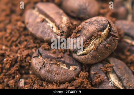 Primo piano di chicchi di caffè, chicchi di caffè appena tostati su un mucchio di caffè macinato Foto Stock