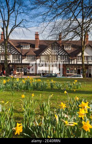 Regno Unito, Inghilterra, West Midlands, Birmingham, Bournville, Daffodils su Bournville Village Green, con sfilata di negozi in background Foto Stock