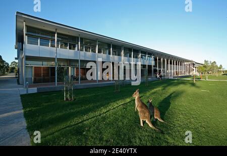 Università della Cancelleria Sunshine Coast, Sippy Downs, Queensland, Australien, Australia, Architetti: Architectus, 2007, , universitaet, universit Foto Stock