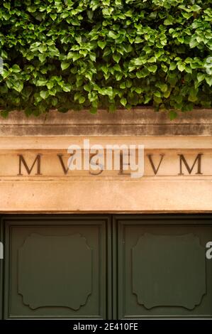 Ingresso al museo con fogliame, Trogir, Costa dalmata, Croazia, Foto Stock