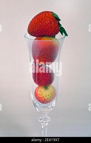 Fragole fresche, dolci e rosse direttamente dall'orto, in un bicchiere di champagne. Foto Stock