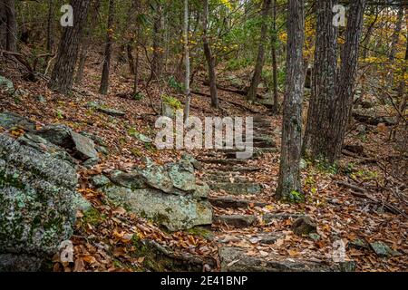 Un rustico sentiero in pietra conduce gli escursionisti su una collina sul Fallingwater Creek Trail su Flat Top Mountain lungo la Blue Ridge Parkway in Virginia. Foto Stock
