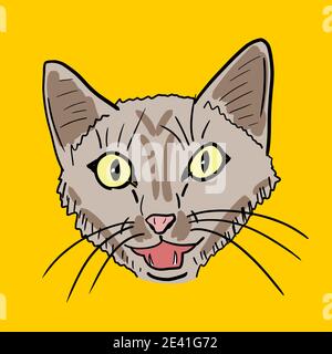 Illustrazione vettoriale del gatto di meowing. Faccia del gatto disegnata a mano. Illustrazione Vettoriale