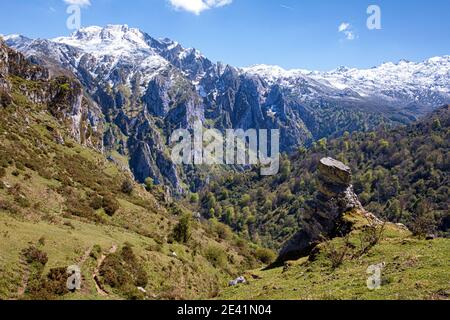 Panorama del frastagliato Collau los Buitres dall'alto alp di Pandescura nei monti Picos de Europa di spagna settentrionale vicino a Bobia Foto Stock