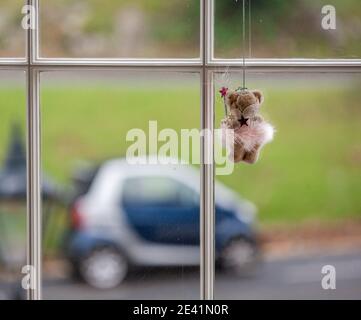 Un Bear delle lattine di Natale con la sua bacchetta magica guarda fuori da una finestra al traffico di passaggio - Bristol UK Foto Stock