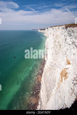 Sette suore scogli di gesso e un paio di Jackdaws volare sotto - da Birling Gap Sussex Regno Unito Foto Stock