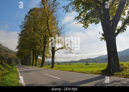 Nuvole basse nel paesaggio autunnale lungo la strada che conduce Dal confine italiano a Kobarid nel Litorale sloveno O regione Primorska della Slovenia ovest Foto Stock