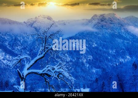 Splendida vista panoramica su una foresta montagnosa coperta da neve catturata in una fredda giornata invernale Foto Stock