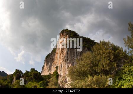 La roccia è tutta calcarea ed è parte della più grande barriera corallina del mondo. Foto Stock