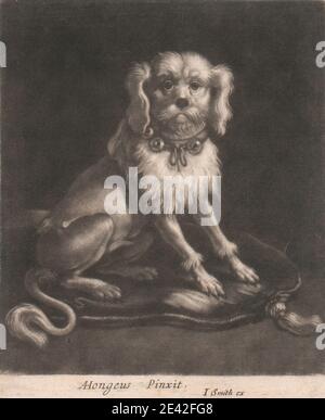 Stampa realizzata da John Smith, 1652â–1743, British, A Small Dog, con colletto in guscio, tra il 1681 e il 1688. Mezzotinta su carta media, moderatamente testurizzata, crema, carta deposte. Foto Stock