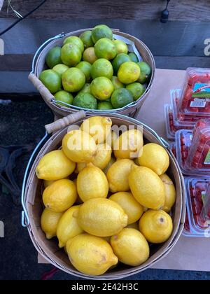 Limoni e lime in vendita sulla strada di fronte a un ristorante chiuso su Cortelyou Road durante la pandemia Covid-19 a Brooklyn, New York. Foto Stock