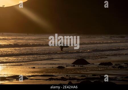 Swansea, Regno Unito. 21 Gennaio 2021. Questo pomeriggio, surfista che cavalca le onde mentre il sole tramonta a Langland Bay vicino a Swansea. PIC di Lisa Dawson Rees Credit: Phil Rees/Alamy Live News Foto Stock