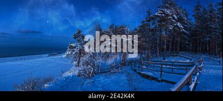 Scena invernale notturna con pineta innevata in una luce lunare nella notte stellata. Vista panoramica della foresta di conifere con percorso in legno vicino al mare Foto Stock