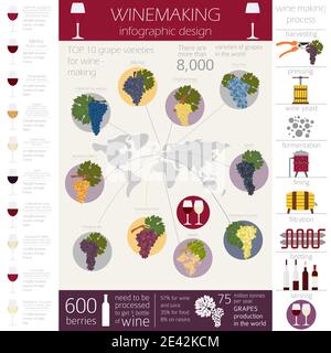 Varietà di uve per il vino. Infografica sulla vinificazione. Illustrazione vettoriale Illustrazione Vettoriale