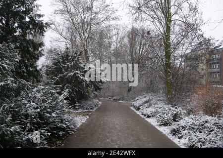 Scenario all'aperto vista sulla strada di un piccolo passaggio pedonale all'interno del parco, con cespuglio, arbusti e alberi ricoperti di neve nella stagione invernale. Foto Stock