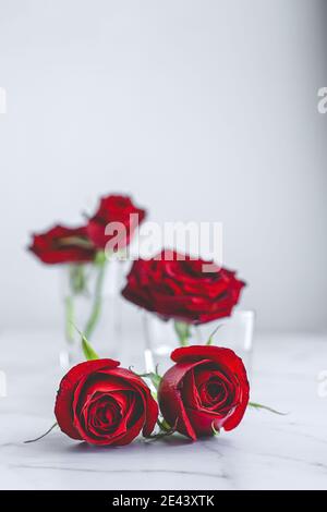 Fiori di rosa freschi in vetro con acqua disposta su tavolo di marmo con petali contro il bianco sfondo Foto Stock