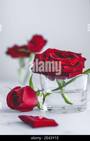 Fiori di rosa freschi in vetro con acqua disposta su tavolo di marmo con petali contro il bianco sfondo Foto Stock