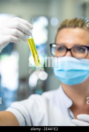 Donna scienziata seria in maschera e guanti in lattice con provetta in vetro riempita con liquido chimico durante il lavoro laboratorio Foto Stock