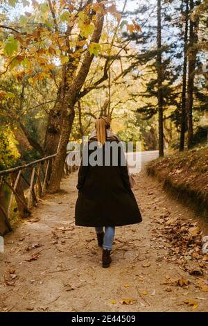 Vista posteriore di una donna irriconoscibile che cammina lungo il ponte nella foresta durante il fine settimana passeggiata in autunno Foto Stock