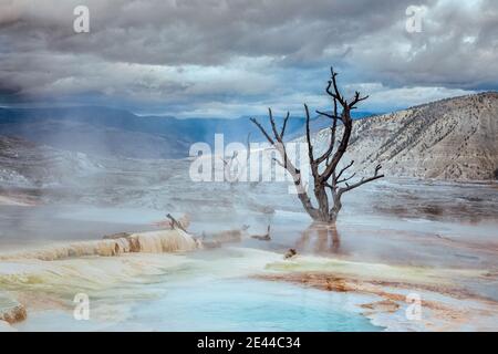 Le terrazze di Mammoth sorgenti termali nel Yellowstone National Parcheggia in una giornata nuvolosa Foto Stock