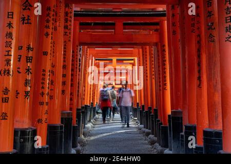 Turisti in movimento camminando attraverso gli archi in legno di Torii in Giappone Foto Stock