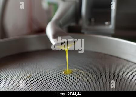 Olio di oliva fresco che versa dal tubo metallico nel serbatoio in moderna fabbrica di presse a freddo Foto Stock