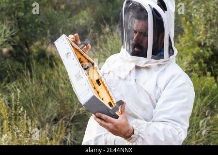 Serio beekeeper maschio che indossa costume protettivo in piedi in apiary con parte dell'alveare Foto Stock
