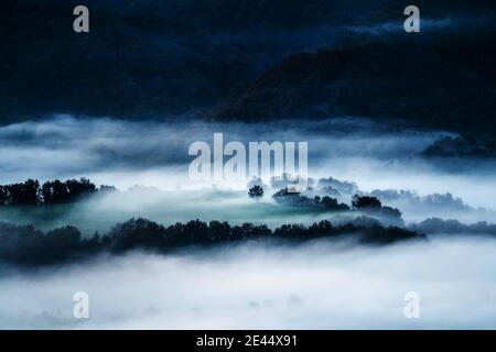 Paesaggi mozzafiato di lussureggianti alberi colorati che crescono nella foresta valle montagnosa contro il cielo foggoso in autunno Foto Stock
