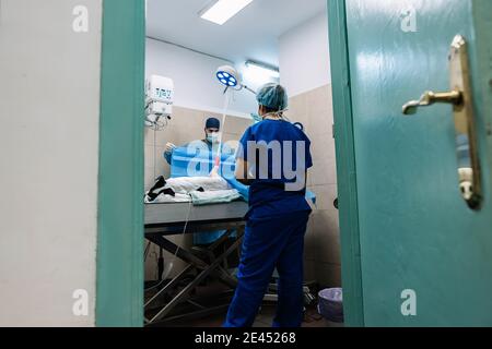 Angolo basso di veterinari che preparano il cane su tavolo medico per chirurgia in sala operatoria Foto Stock