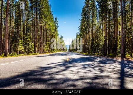 Strada dal parco nazionale di Yellowstone al parco nazionale di Grand Teton, Wyoming, Stati Uniti Foto Stock