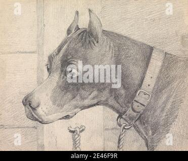 Henry Thomas Alken, 1785â–1851, inglese, testa e spalle di un cane Boxer, profilo a sinistra, con un collare in pelle A tttaged a un Ring Post, non ondeggiato. Grafite su carta media, leggermente testurizzata, crema, wove. Cane boxer Foto Stock