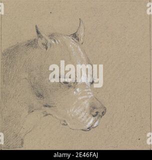 Henry Thomas Alken, 1785â–1851, britannico, testa e spalle di un cane da boxe, Profilo a destra, senza bordo. Grafite e gouache bianche su carta spessa, ruvida, marrone, wove. Arte animale Foto Stock
