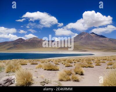 Lago salato Laguna Miscanti nel Cile settentrionale. Foto Stock