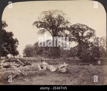 George Shadbolt, 1830–1901, British, Stubbes, Essex, 1860. Stampa albume da collodio umido negativo su carta sottile, liscia, crema wove. Genere soggetto , erba , paesaggio , tronchi , uomo , alberi , legno. Inghilterra , Essex , Regno Unito Foto Stock