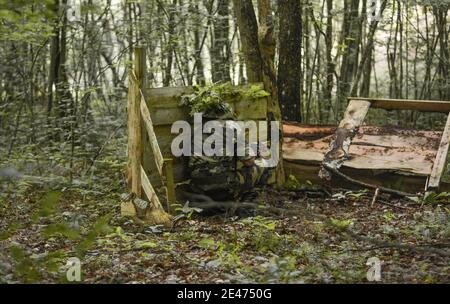Vista posteriore del soldato delle forze speciali che si nasconde dietro un legno recinzione in una foresta Foto Stock