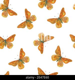 Simpatico motivo senza cuciture con farfalle colorate. Illustrazioni acquerello. Foto Stock