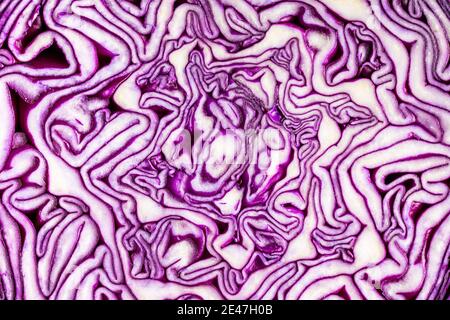 Cavolo rosso fresco. Dettaglio della texture. Foto Stock