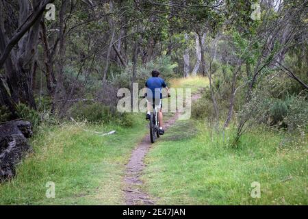 Mountain bike, Thredbo, NSW, Australia Foto Stock