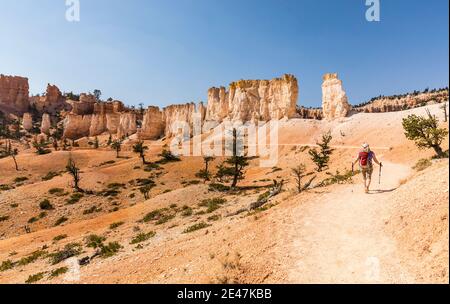 Una donna che ama fare escursioni sul Fairyland Loop Trail nel Bryce Canyon National Park, Utah, USA. Foto Stock