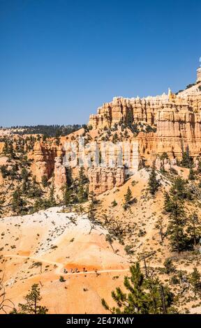 Un gruppo di quattro persone che camminano lungo il Fairyland Loop Trail nel Bryce Canyon National Park, Utah, USA. Foto Stock